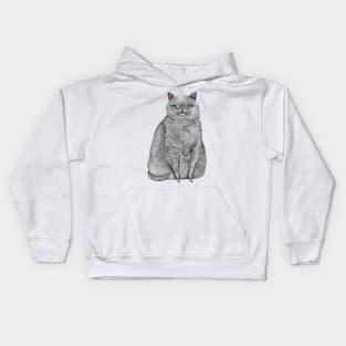 Grey Cat Kids Hoodie